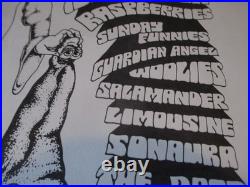 1972-ted Nugent-amboy Dukes-sherwood Forest-the Big One-concert-poster-org 17