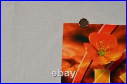 2 Jack Johnson Concert Posters BGP 289 + Signed Venue Specific Lake Tahoe Poster