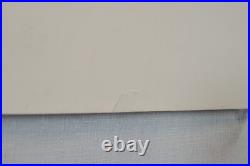 2 Jack Johnson Concert Posters BGP 289 + Signed Venue Specific Lake Tahoe Poster