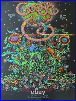 Goose MSG 2026 Marq Spusta AE Artist Edition #58/100 Signed Concert Poster NYC