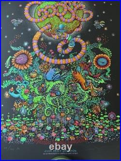 Goose MSG 2026 Marq Spusta AE Artist Edition #58/100 Signed Concert Poster NYC