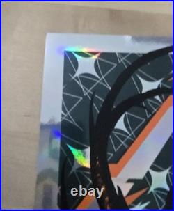 Metallica 2017 Concert Poster Lyon, France Silver Foil AP #25/30 Slight Damage