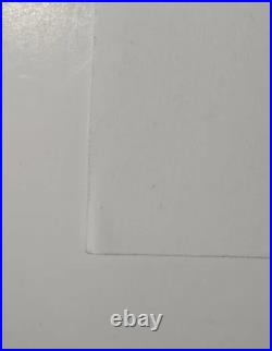 THEM CROOKED VULTURES Concert Poster 2010 Limited Edition Signed AP Rogers