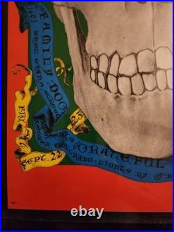 Very Rare Vintage 1st Print Grateful Dead Concert Poster Titled The Head
