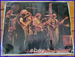 Vintage Rare Grateful Dead 1979 Live Concert Poster 24 x 19 London England