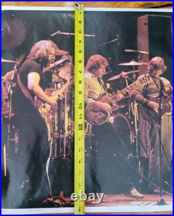 Vintage Rare Grateful Dead 1979 Live Concert Poster 24 x 19 London England
