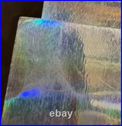 WEEN Concert Poster Central Park NYC 2010 Foil AP Jermaine Rogers