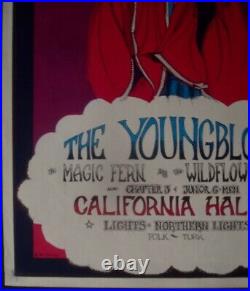 YOUNGBLOODS DR. STRANGE HAPPENINGS 1967 vintage concert posterl GREG IRONS 14x20